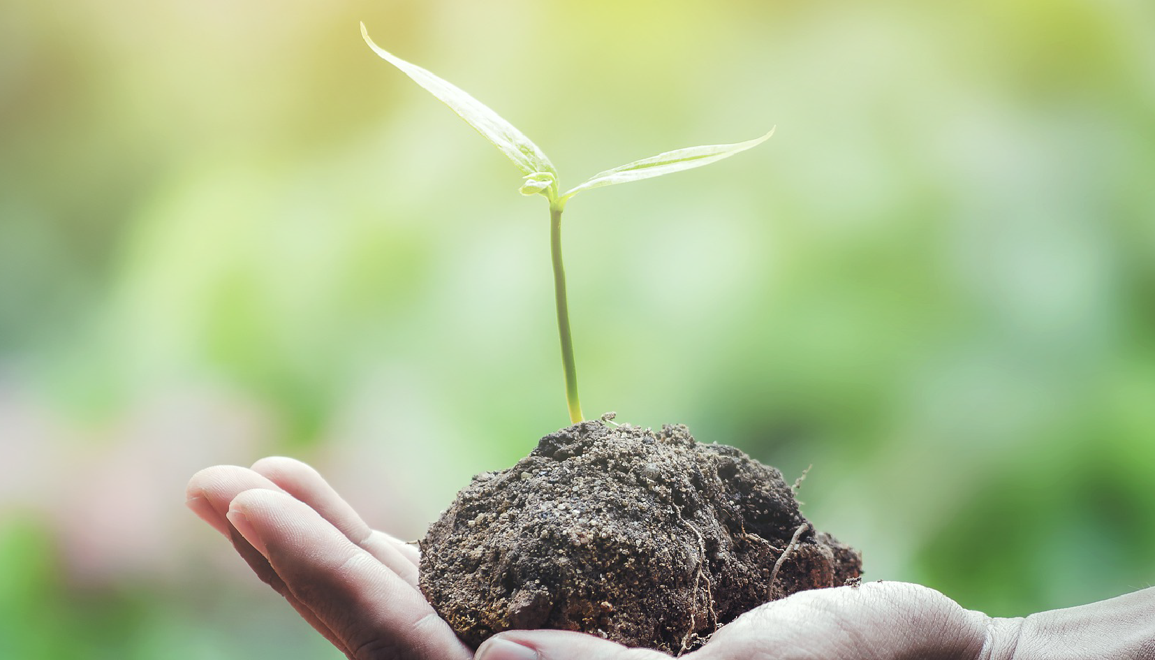 ISO14001 Uiccertification.com